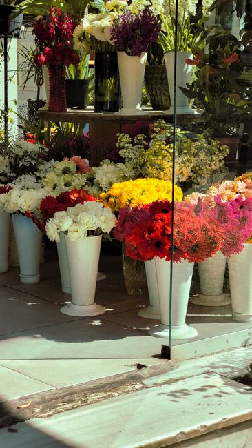 A vibrant display of fresh flowers arranged in tall white vases and smaller containers, featuring a variety of species including white chrysanthemums, red and pink gerbera daisies, yellow chrysanthemu