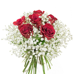 Under a luminous white background, this floral arrangement masterfully balances restraint and vibrancy-a reflection of Orpington's tranquil yet lively local charm. Six deep red roses-their petals richly layered and luxuriously soft-serve as the main attraction, radiating with passion and stunning clarity. Enveloping these blooms, delicate sprays of snowy gypsophila mingle in airy abundance, weaving a gentle halo that highlights the roses' intense colour without overpowering them. The green stems below are freshly clipped, neatly bound, and ready for gift-giving, reminiscent of flowers chosen at the bustling Orpington High Street market or for an elegant dinner at a local eatery. With every detail thoughtfully considered, from the tactile contrast of vibrant red petals to the diaphanous whiteness of the baby's breath, the bouquet conjures impressions of grace, classic romance, and heartfelt celebration. Its gentle rose fragrance and striking visual harmony make it a perfect offering-be it for a milestone anniversary, a special apology, or a spontaneous act of affection-imbued with the enduring spirit of Orpington's close-knit community.
